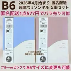 Item thumbnail for item cff32326-c976-439c-a54c-5ae823020a5d