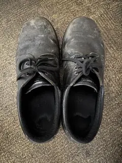 Item thumbnail for item 203475fc-f4a1-4889-9066-80417b643fef