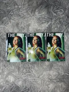 HANA CHIKA(チカ) ボディメンテ トレーディングカード 3枚セット