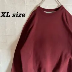 チャンピオン　ビッグサイズ無地スウェット　チェスナット