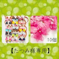 【たつみ様専用】