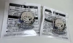 LE SSERAFIM ちびぐるみポーズ！おなまえアクリルバッジ チェウォン2個