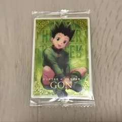 ゴン HUNTER×HUNTER イタジャガ