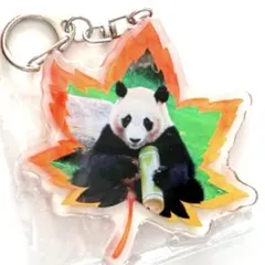 2026年最新】楓浜 キーホルダーの人気アイテム - メルカリ