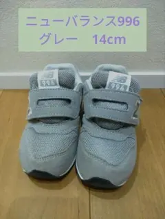 Item thumbnail for item 6a499572-bf51-4c4d-89f6-e47a1af50680