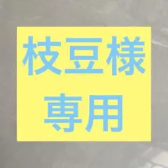 再購入 枝豆様 エヴァ セット