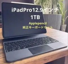 iPad Pro （第5世代） m1 1TB 純正Applepencil KB付のサムネイル