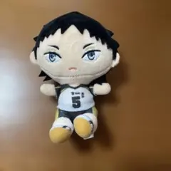 ハイキュー!! 赤葦京治 ぬいぐるみ マスコット