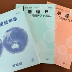 共通テスト地理　通年テキスト・地図資料集　河合塾
