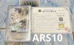 sdvtb-002 孫悟空 ars10 （4860） - メルカリ
