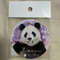 Item thumbnail for item 0befd9ad-86ae-48e9-996d-2bc377210233