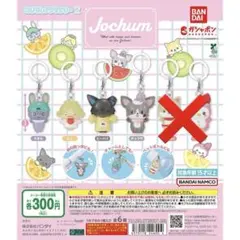 Jochum めじるしアクセサリー　4種セット