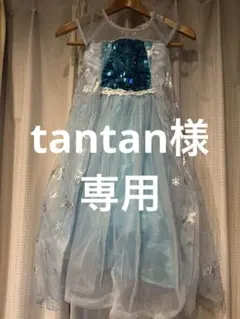 【tantan様専用】アナ雪 エルサ風　キッズ　ディズニー　ドレス 110