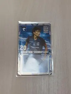 Item thumbnail for item 3e3f08fc-f649-4cba-a41e-b1b4d8d9952a