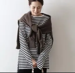 フレームワーク　スリット　ボーダーロンT コットンのサムネイル