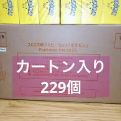 マクドナルド　ハッピーセット　ポケモンおもちゃ　　計229 カートン　プロモ×