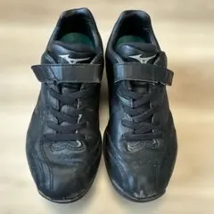 Item thumbnail for item 277d8c53-bc29-4759-b97d-6a68fb5aa957