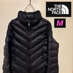 Item thumbnail for item 2b3cefc6-b7a1-42d1-8a12-db86ae65dddd