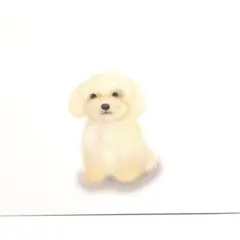 No.3465 色鉛筆画　デジタル絵画　「トイプードル」
