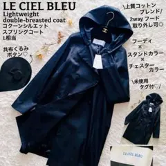 Item thumbnail for item 9895baf9-49b9-40d5-966b-6402371e189d