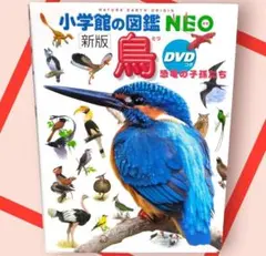 小学館の図鑑NEO〔新版〕 鳥 DVD無し 図鑑 ネオ neo - メルカリ