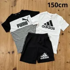 adidas PUMA Tシャツ ハーフパンツ まとめ売り
