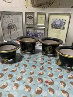 2026年最新】富貴蘭鉢の人気アイテム - メルカリ