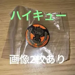 3個セット⭐︎ハイキュー!! 高校モチーフピンバッジ 烏野高校