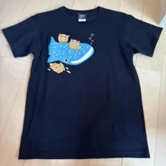 Okinawa Churaumi Aquarium Tシャツ XS