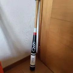 Item thumbnail for item d0ba579b-b469-4c8f-ad00-90fa17de5bdb