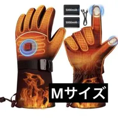 Item thumbnail for item b093d080-317b-45ab-ab88-ac4355c25f2c