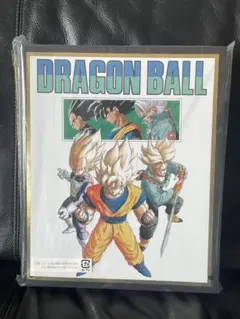 ドラゴンボールスーパーダイバーズ　9ポケットバインダーセット　40th カード付