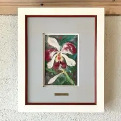 ☆坂本直行☆「 シンビジウム ケニー・ワインカラー 」ペン画　太子　未使用! ☆坂本直行☆「 シンビジウム ケニー・ワインカラー 」ペン画 太子 未