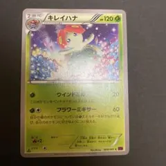 キレイハナ C XY7 バンデットリング 004/081