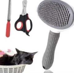 Item thumbnail for item 0b0b245a-7666-4fab-8d79-a885c7351a74