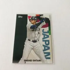 ヌートバー選手　10枚限定カード　WBC 大谷翔平 ヌートバー選手 10枚限定カード WBC 大谷翔平 ヌートバー選手 10