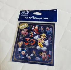 ディズニーランド　35周年　東京ディズニーリゾート　メモ　Disney