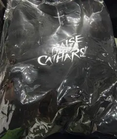 RAISE A SUILEN × トゲシントゲアリ Lサイズ ウェットシャツ