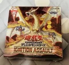 2025年最新】イグニッションアサルトの人気アイテム - メルカリ