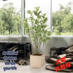 光触媒　人工観葉植物　ウォールグリーン　ウッドボックスポリシャス1.0mのサムネイル