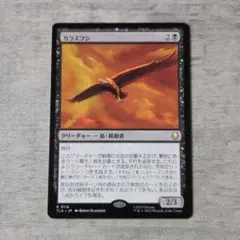 カラスワシ　Raven Eagle