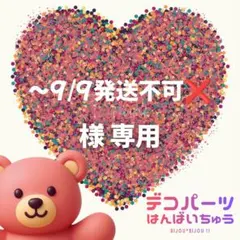 〜9/9発送不可❌様　専用ページ