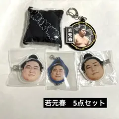 大相撲ガチャ 安青錦 セット クッション お守り プラモ風 フェイス 