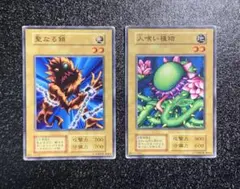 遊戯王 聖なる鎖 人喰い植物 初期 ブースター1