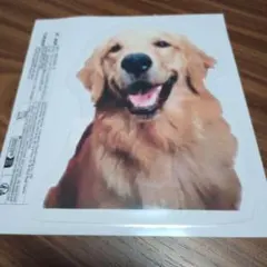 Item thumbnail for item 286ac6f8-2a15-457f-98f6-d591e56429f1