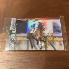 シンイチ様 リクエスト 2点 まとめ商品