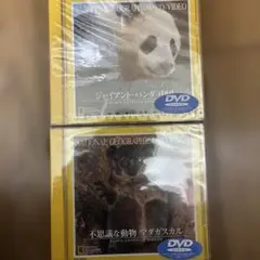 Item thumbnail for item e4d1dcf6-a00b-4800-84cb-d4c64d97e603