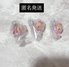 skzoo ガチャ つまんでつなげてますこっとvol.2 パピーム