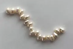 Item thumbnail for item 6bd54478-5fbe-49b8-94b6-ee7f870cf2e7