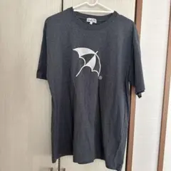 最終値下げ‼️アーノルドパーマー レディース LサイズTシャツのサムネイル